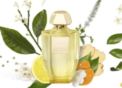 Acqua Original Citrus Bigarade