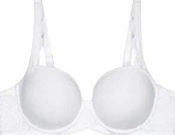 Amourette WP