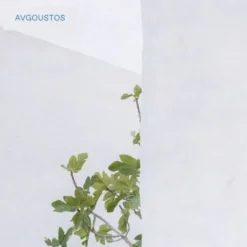 Avgoustos Eau De Toilette