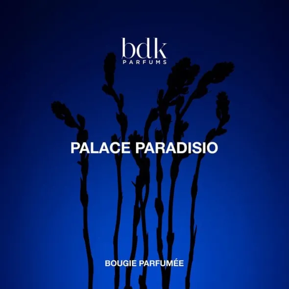 BDK PALACE PARADISIO - BOUGIES 250G
