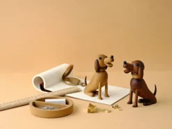Bella - Dog, light