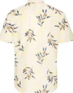 BHAVIL Shirt