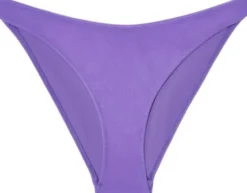 Bikini Briefs