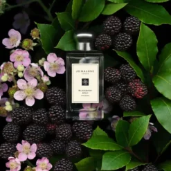 Blackberry & Bay Cologne