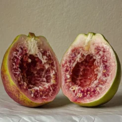 BLACK GUAVA EXTRAIT EXTRÊME