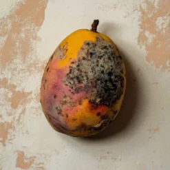 BLACK MANGO EXTRAIT EXTRÊME