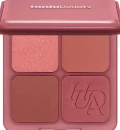 Blush Filter Blurring Blushlighters Palette - Palett med blush och hig