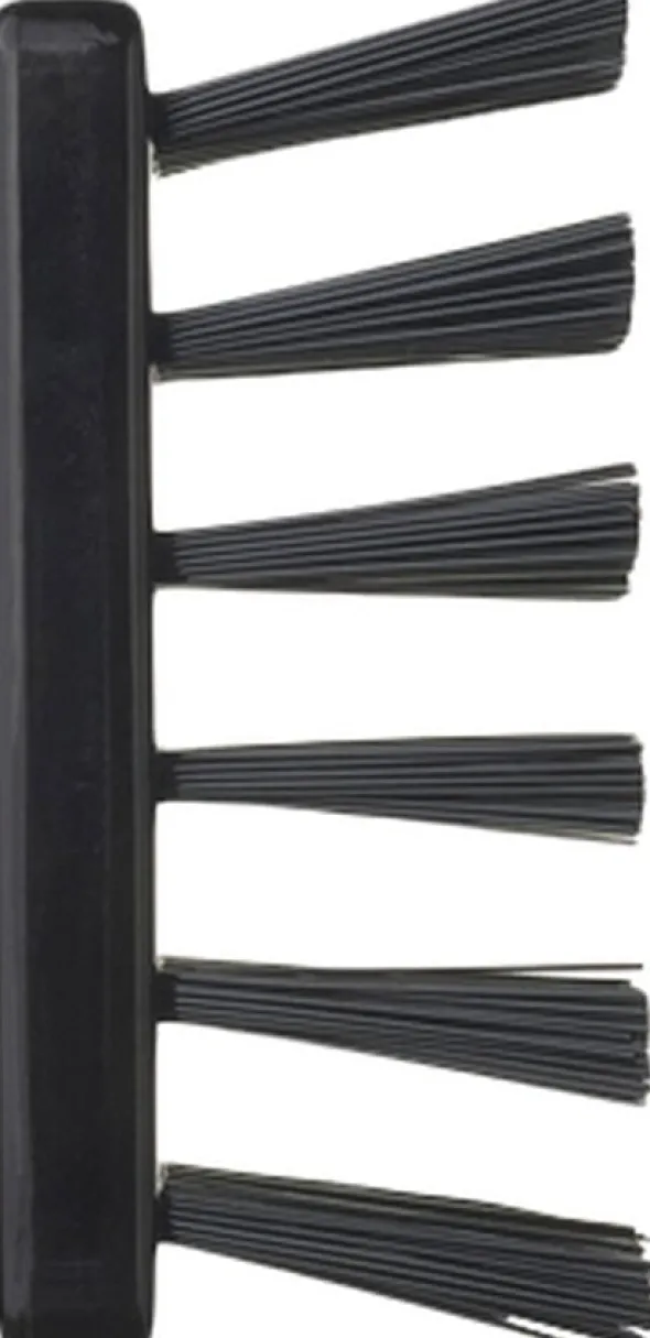 BN1 - Popular