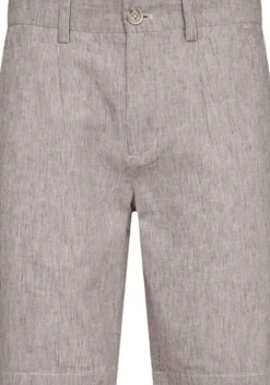 BS Darion Regular Fit Shorts