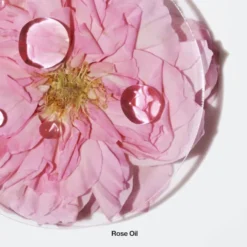 Calyx Fragrance