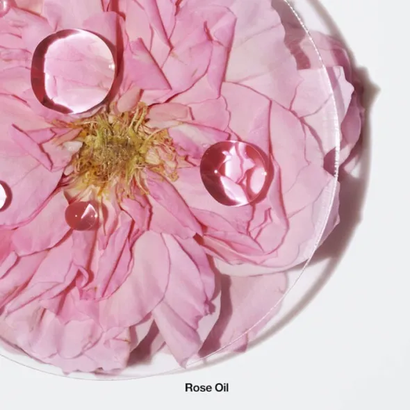 Calyx Fragrance