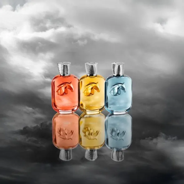 CARIOS EDP 100 ML
