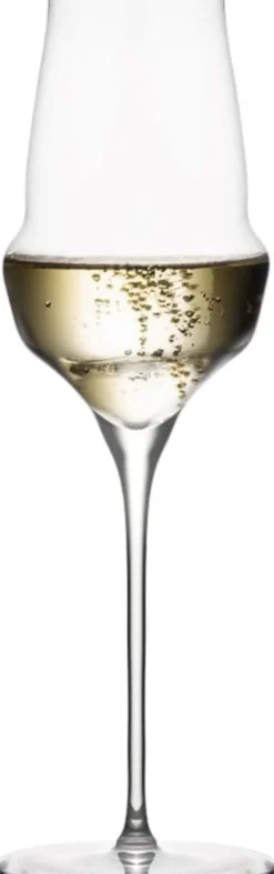 Champagneglas CoCoon 340ml, 6 STK