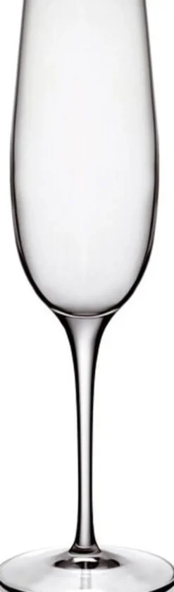 Champagneglass Palace 23,5 cl 6 stk. Klar