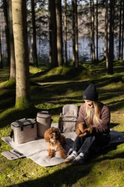 City cooler backpack rPET