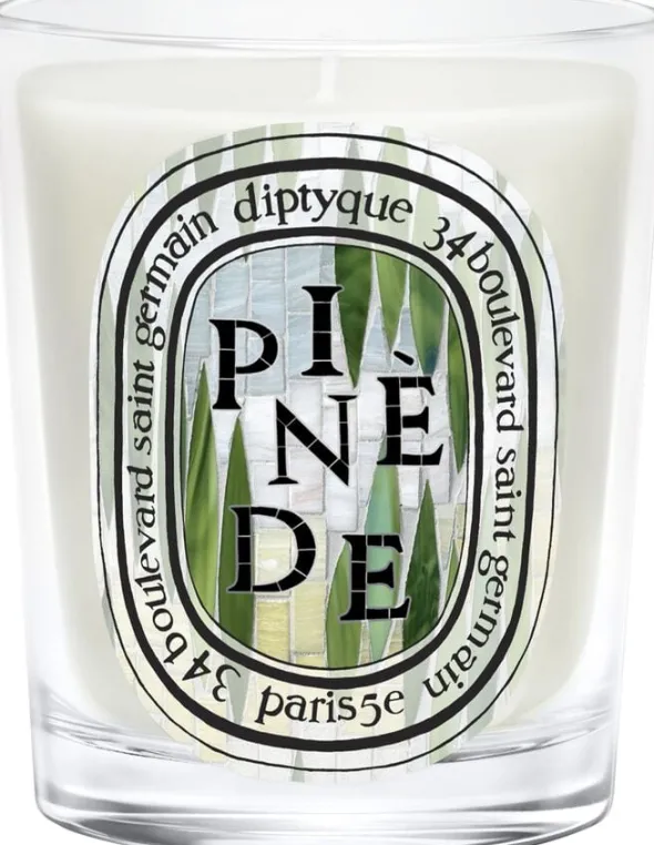 Classic candle Pinède 190g - LE 26