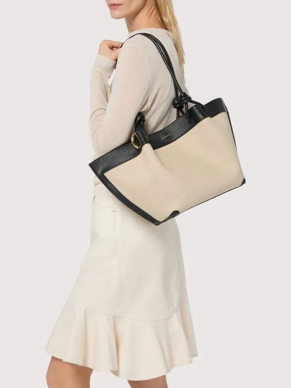 COCCINELLEFINN CANVAS