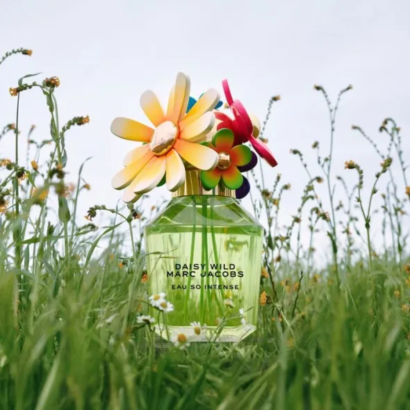 DAISY WILD INTENSE