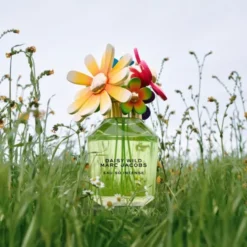 DAISY WILD INTENSE