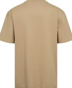 Dapolino