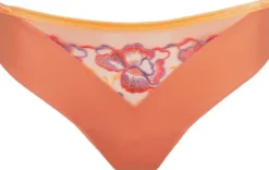 Devdaha rio briefs