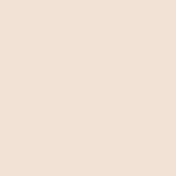 Dior Forever Nude Matte Filter Blurring Setting Powder