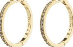 EBNA large crystal hoops gold-plated