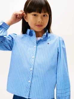 Essential Regular Fit Stripe Balloon Sleeve Shirt