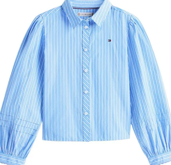 Essential Regular Fit Stripe Balloon Sleeve Shirt