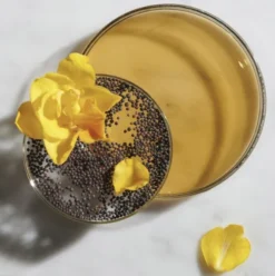 Ferulic Brew Rejuvenating Facial Essence