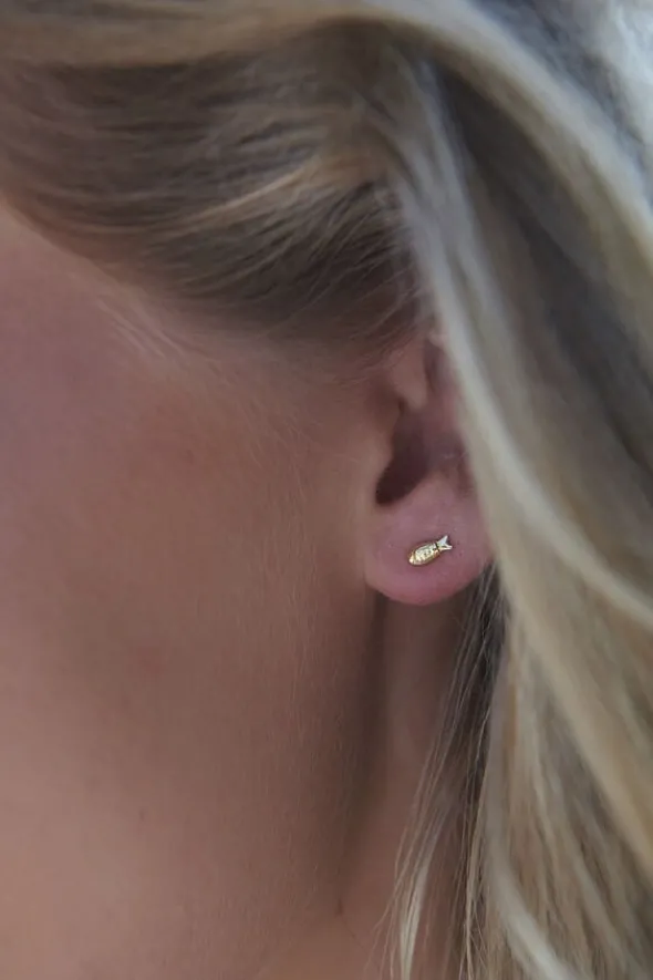 Global Goal #14: Fish Studs