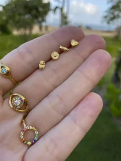 Global Goal #14: Fish Studs