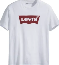 Graphic Set-In Neck T-Shirt