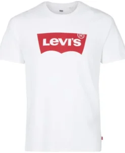 Graphic Set-In Neck T-Shirt
