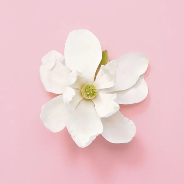 Gucci Flora Gorgeous Jasmine Eau de Parfum