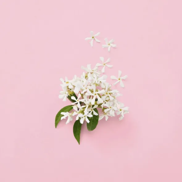Gucci Flora Gorgeous Jasmine Eau de Parfum