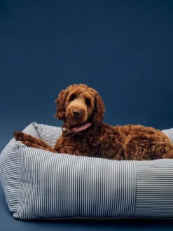 HAY Dogs Bed Zip-Large-Blue and whi