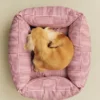 HAY Dogs Bed Zip-X-Small-Red and wh