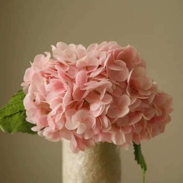 Hydrangea Flower