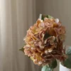Hydrangea Flower