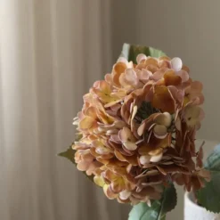 Hydrangea Flower