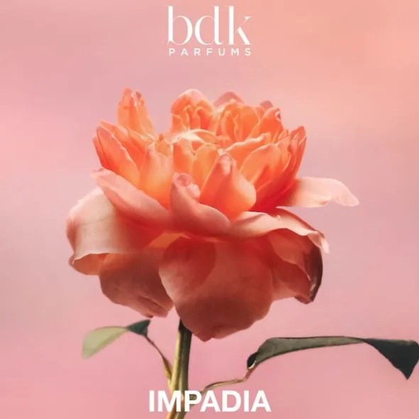 IMPADIA - Eau de Parfum 100 ML
