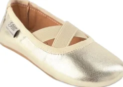 Indoors shoe