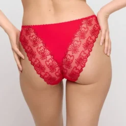 Jane Italian briefs