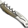 LAGUIOLE TRADITION BRUN HORN PROP. S.L.