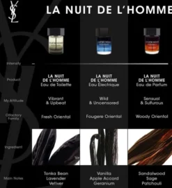 La Nuit de L'Homme Eau de Toilette