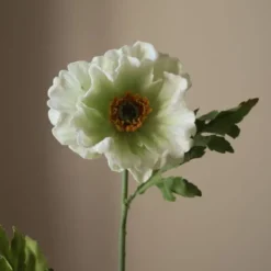 Large Poppy Flower
