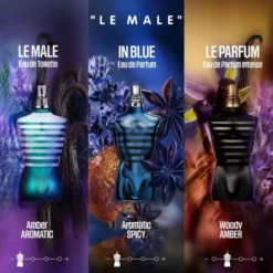Le Male In Blue Eau de Parfum 75 ml
