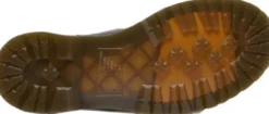 2976 Leonore Ii
