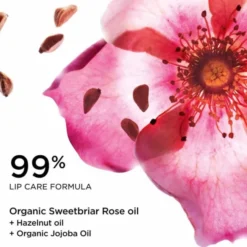 Lip Comfort Oil